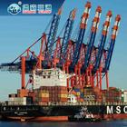 Từ Trung Quốc đến EU / Anh / Mỹ Dịch vụ vận chuyển hàng hóa đường biển của người giao nhận
