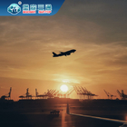 Đại lý vận chuyển toàn cầu tại Thâm Quyến, Dịch vụ giao nhận hàng hóa tận nơi của FBA