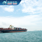 Trung Quốc đến Úc Giao nhận vận chuyển hàng hóa đường biển Amazon Dropship đến châu Âu